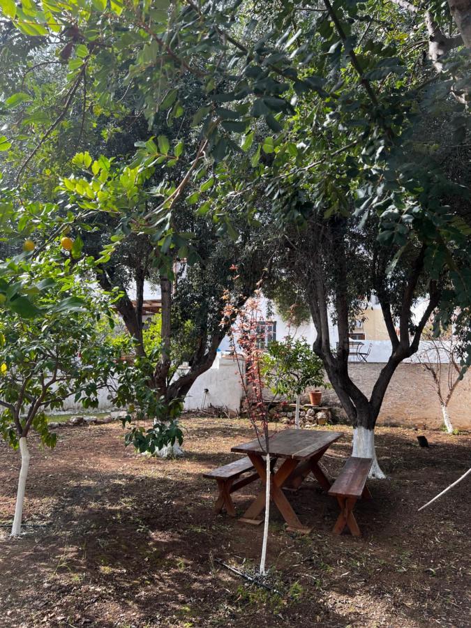Two Olive Trees ξενώνας Σπέτσες Εξωτερικό φωτογραφία