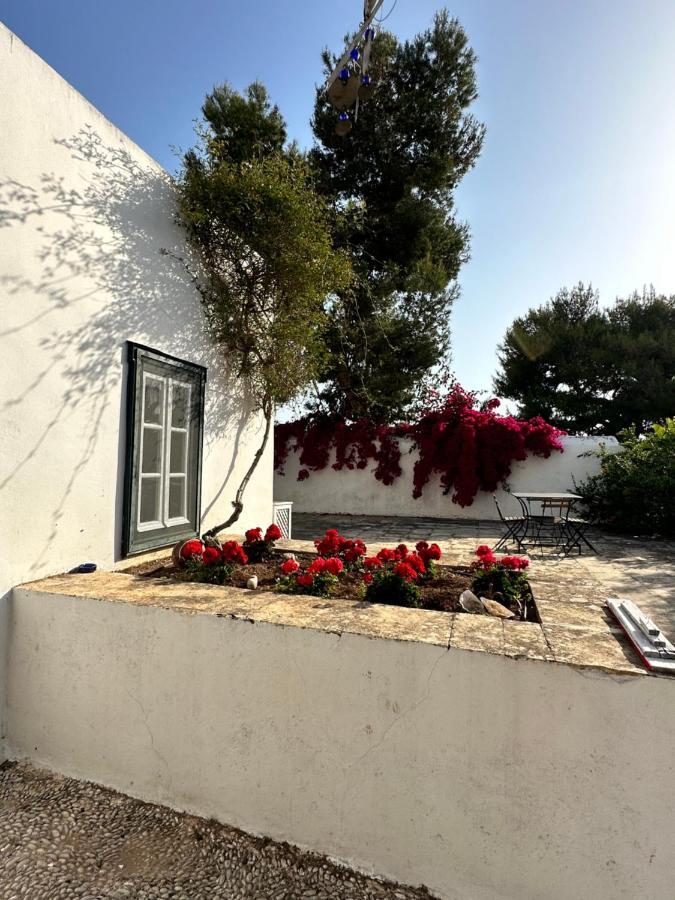 Two Olive Trees ξενώνας Σπέτσες Εξωτερικό φωτογραφία