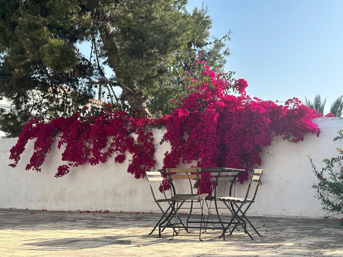 Two Olive Trees ξενώνας Σπέτσες Εξωτερικό φωτογραφία