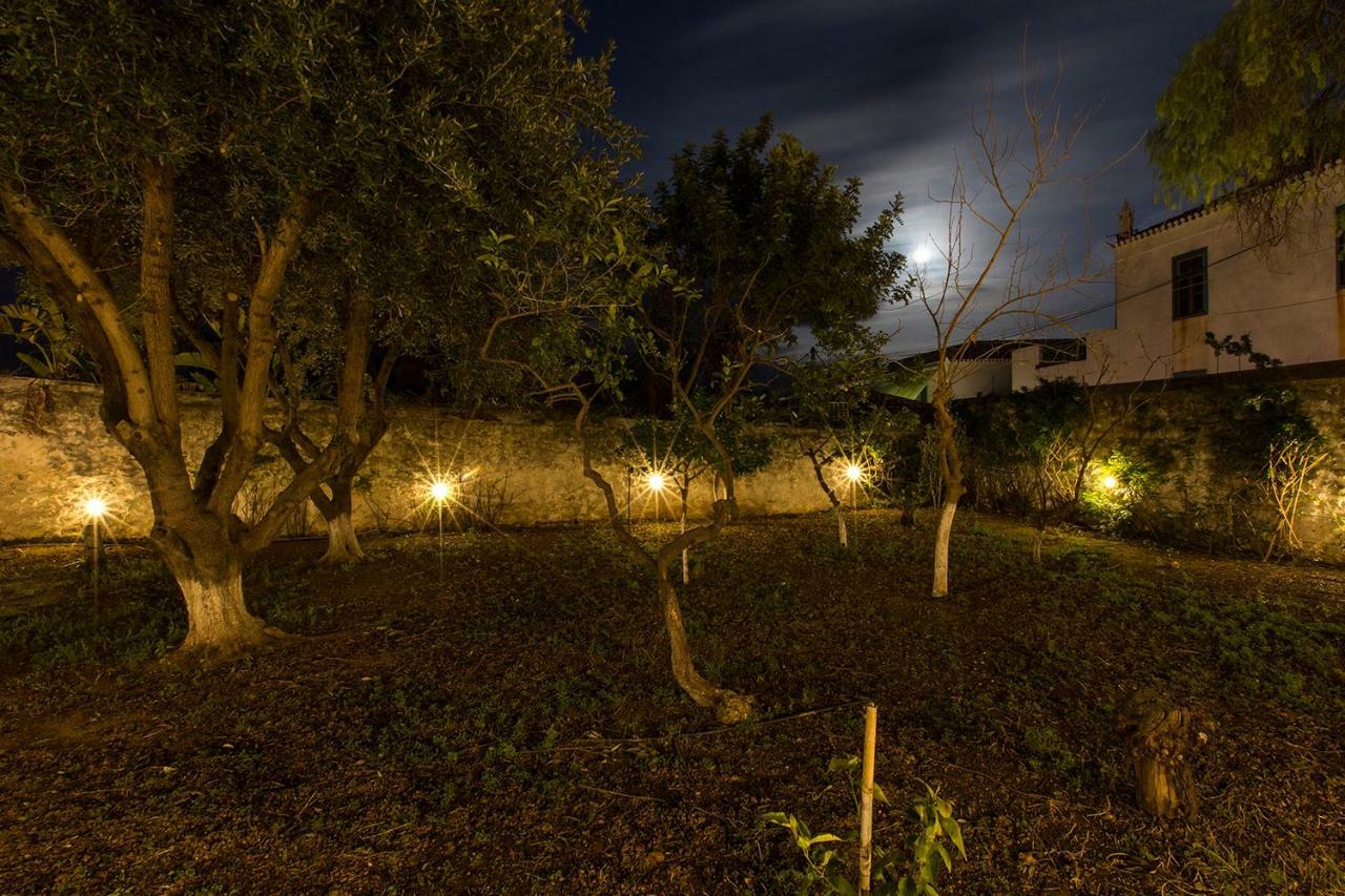 Two Olive Trees ξενώνας Σπέτσες Εξωτερικό φωτογραφία