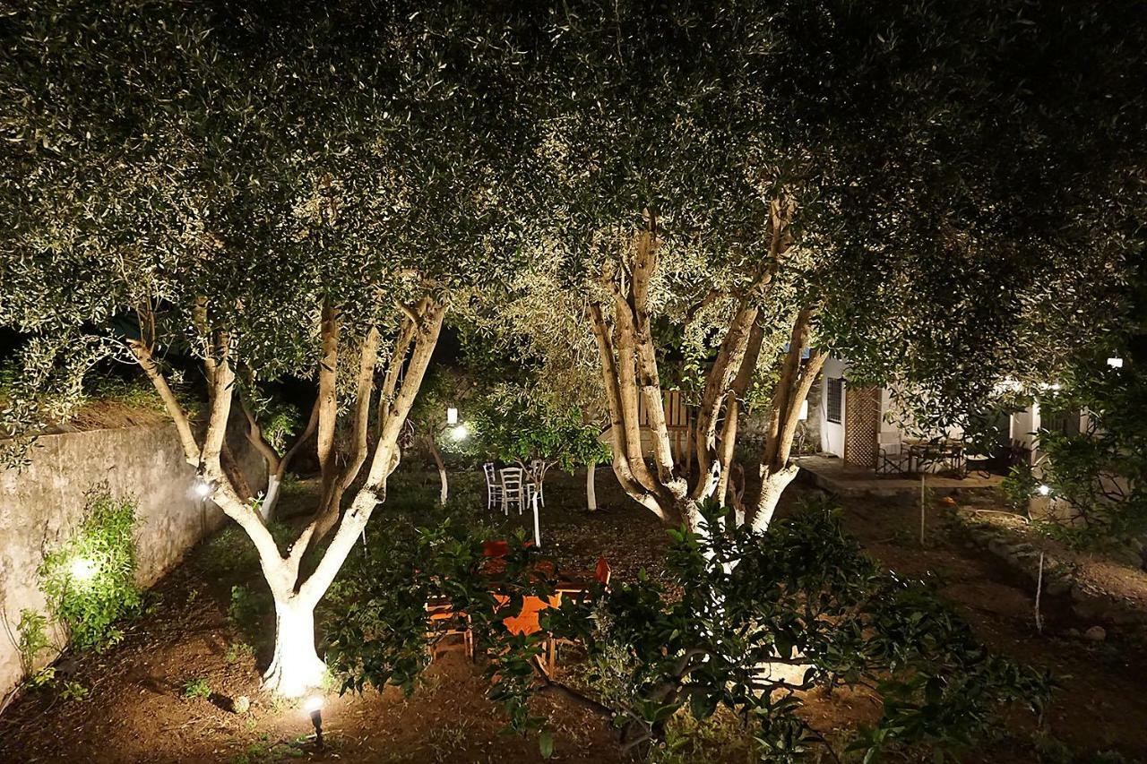 Two Olive Trees ξενώνας Σπέτσες Εξωτερικό φωτογραφία